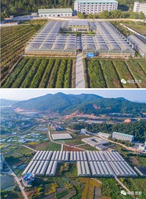 平衡發(fā)展與保護(hù) 旅游景點(diǎn)開發(fā)的可持續(xù)之路